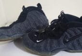 Nike air Foamposite