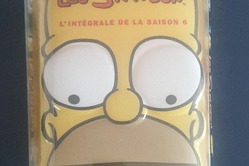 Dvd les Simpson saison 6