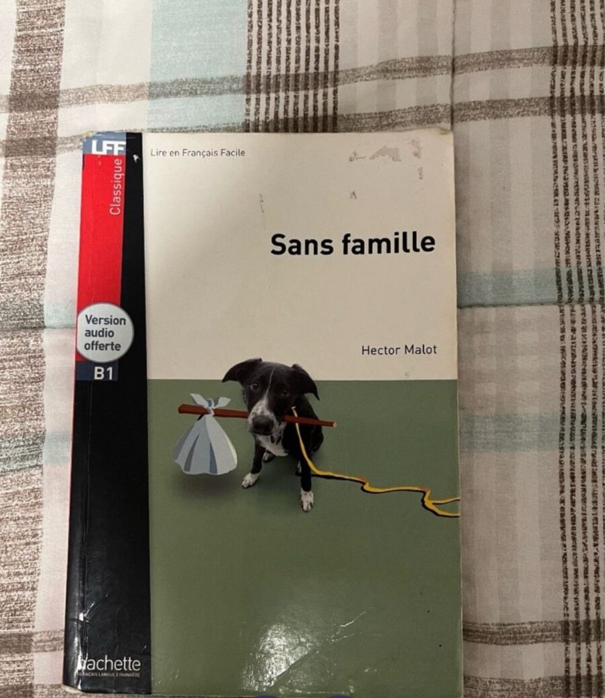 Sans famille Hector Malot