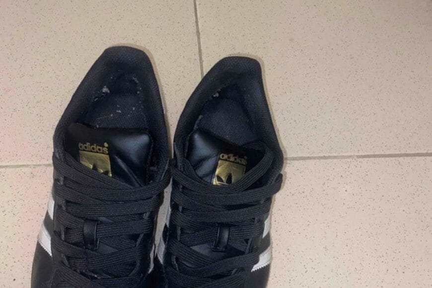 Basket Adidas Superstar