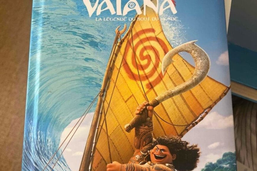 Disney Vaiana état nickel