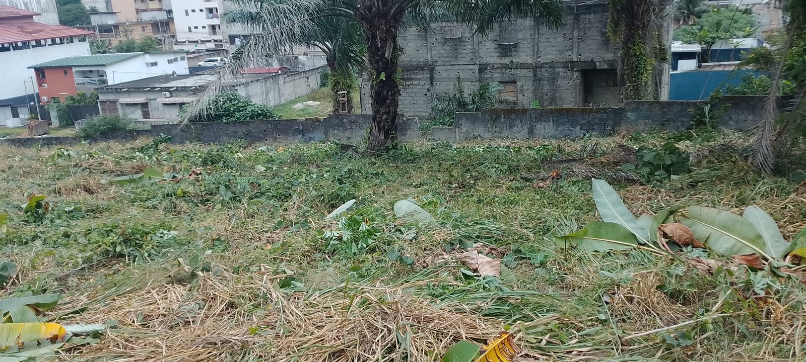 Terrain 900m² Angré arcades 4