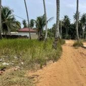 Terrain Mohamé 5 Ha