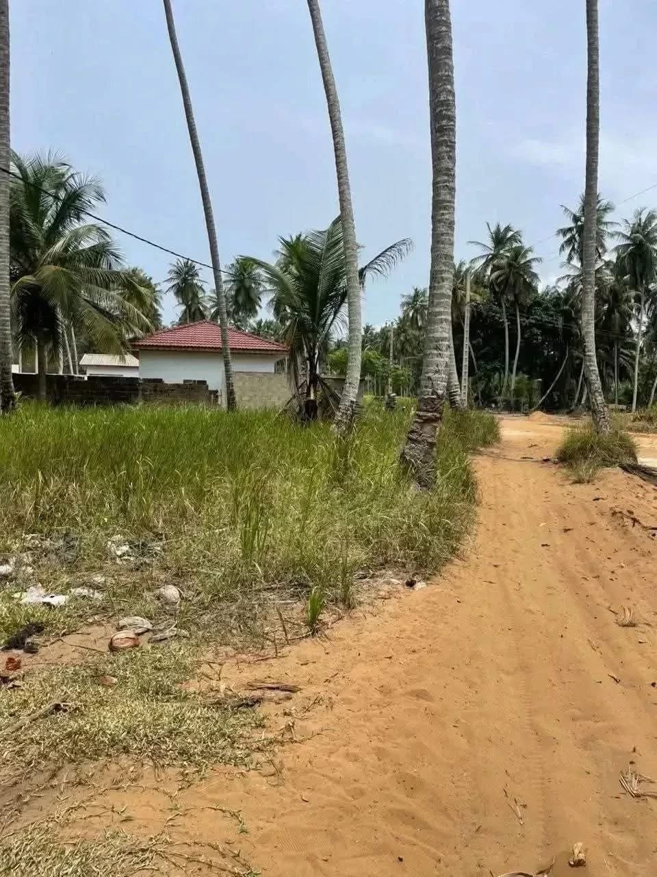 Terrain Mohamé 5 Ha