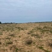 Terrain à vendre MONDOUKOU