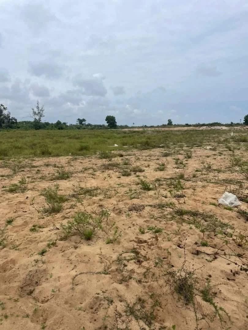 Terrain à vendre MONDOUKOU