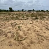 Terrain à vendre MONDOUKOU