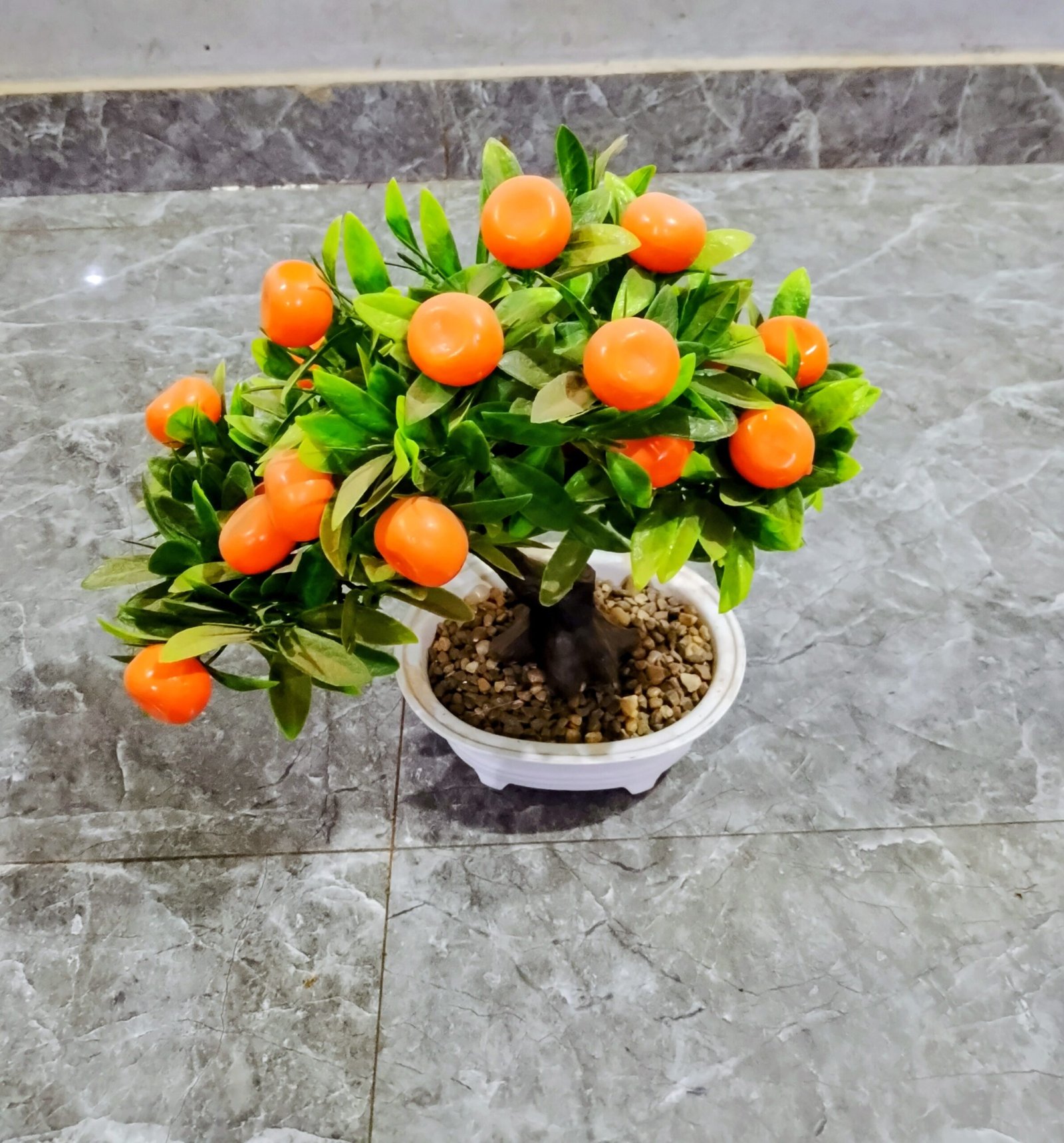 Plante Décorative Oranger Miniature.