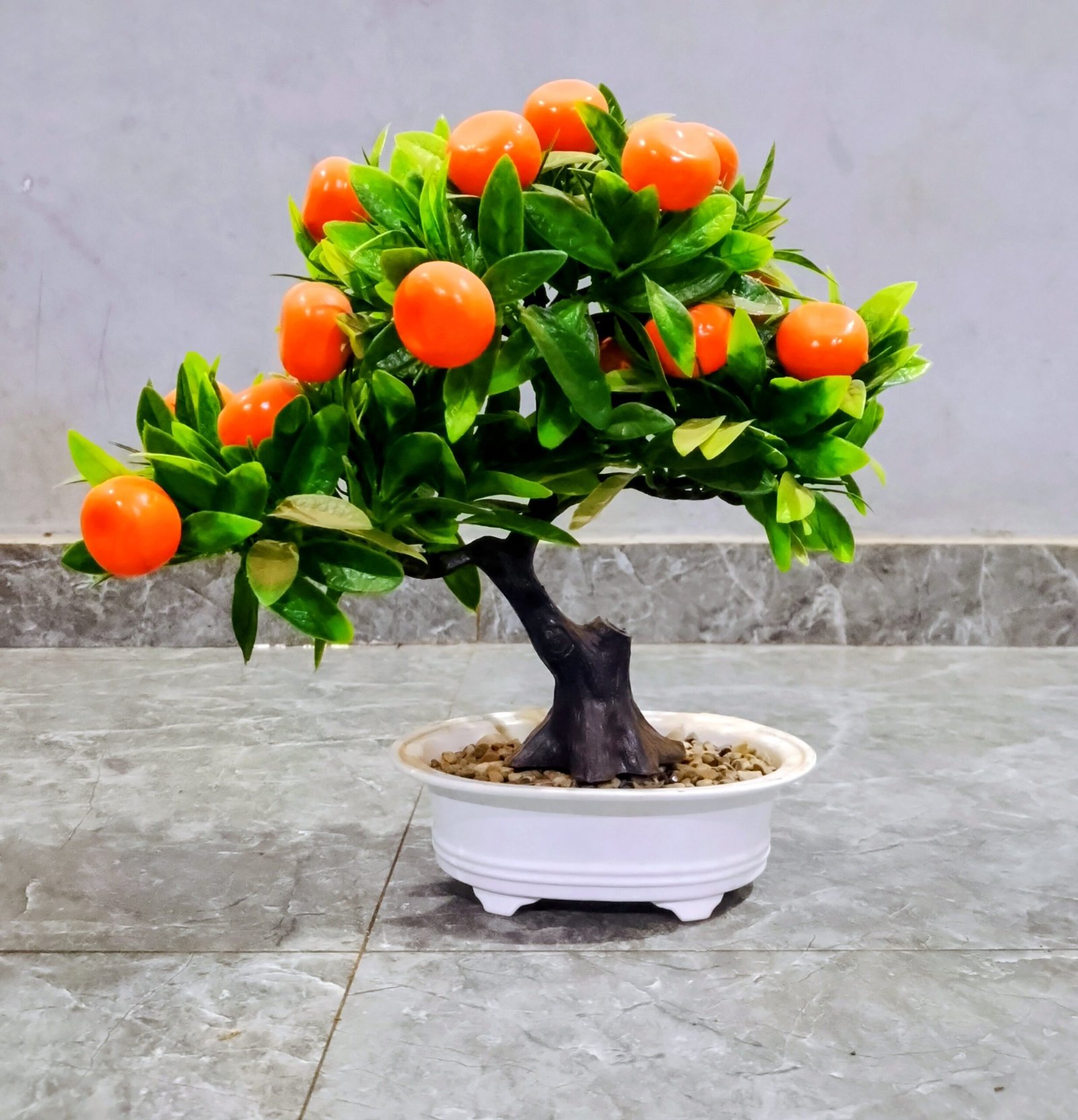 Plante Décorative Oranger Miniature.