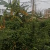 Terrain Azito 600m2 ACD