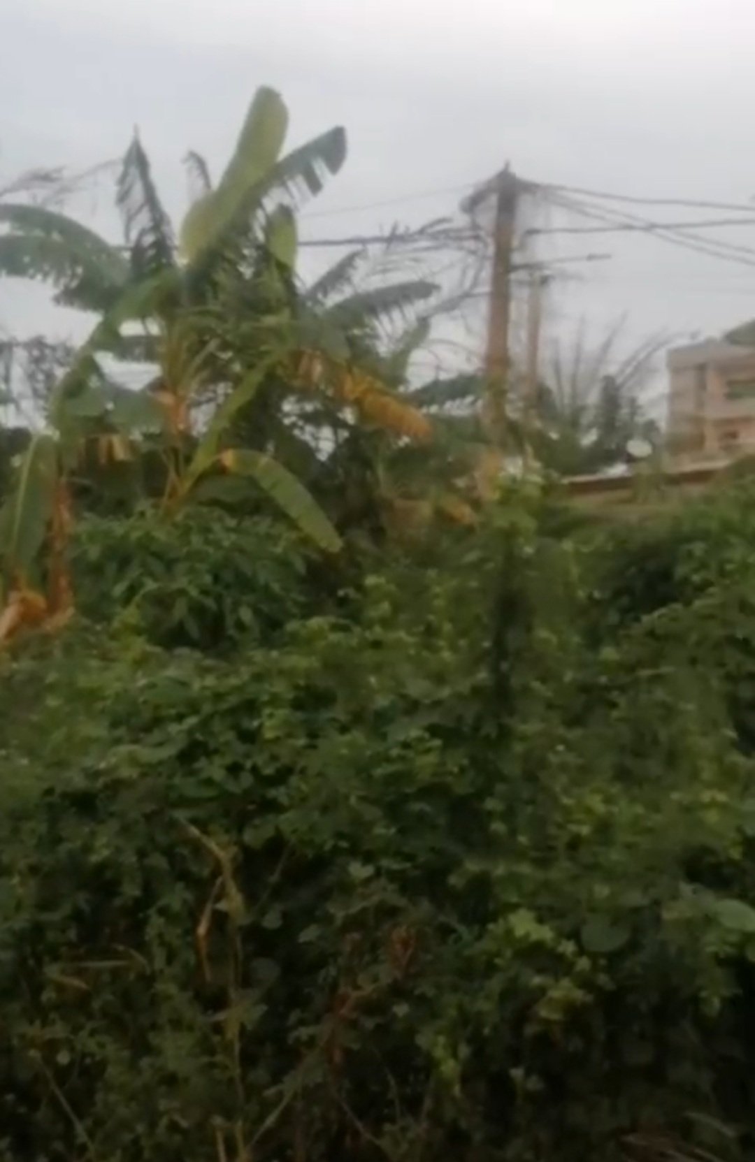 Terrain Azito 600m2 ACD