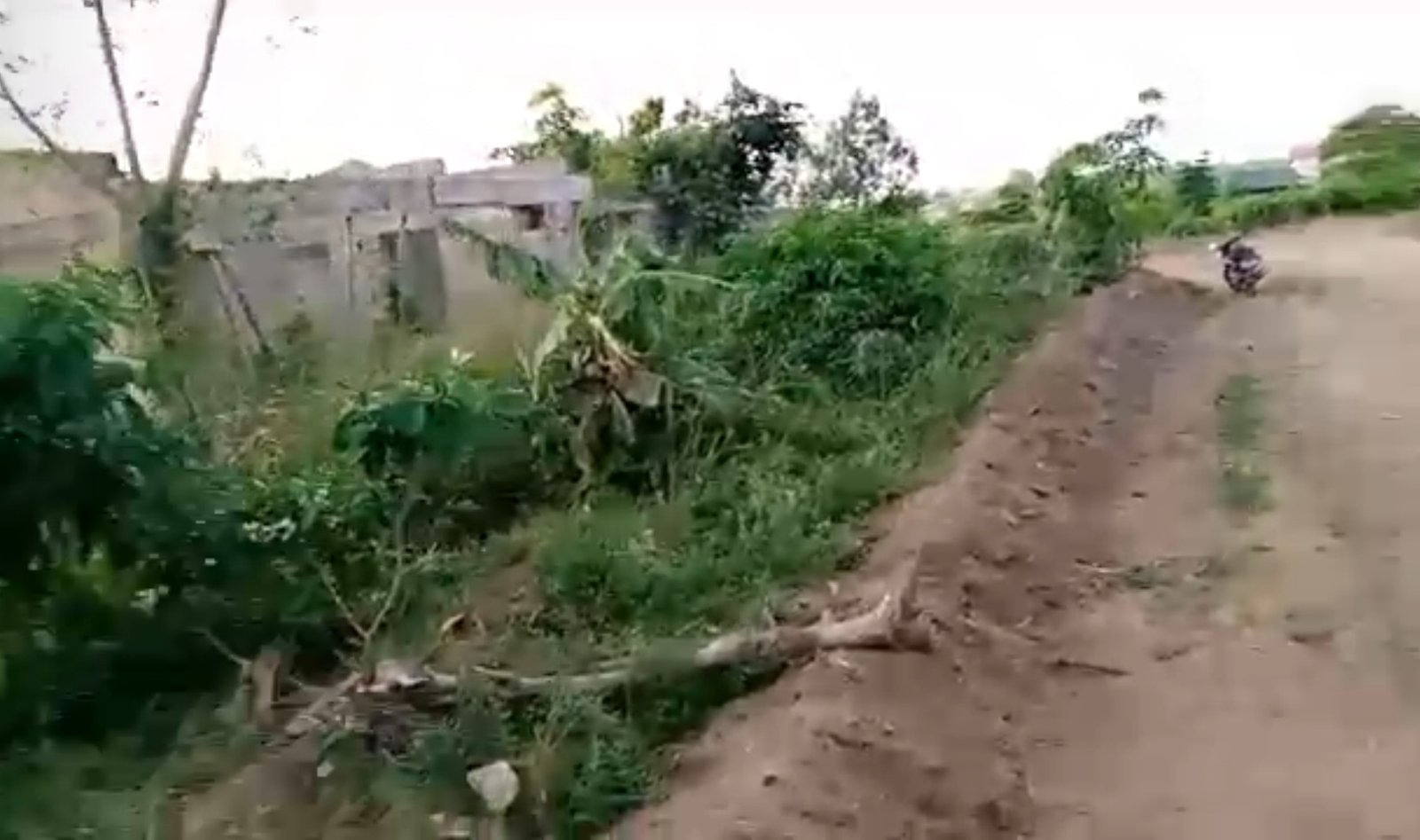 Maison Bonoua 1 drapeau