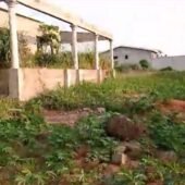 Maison Bonoua 1 drapeau