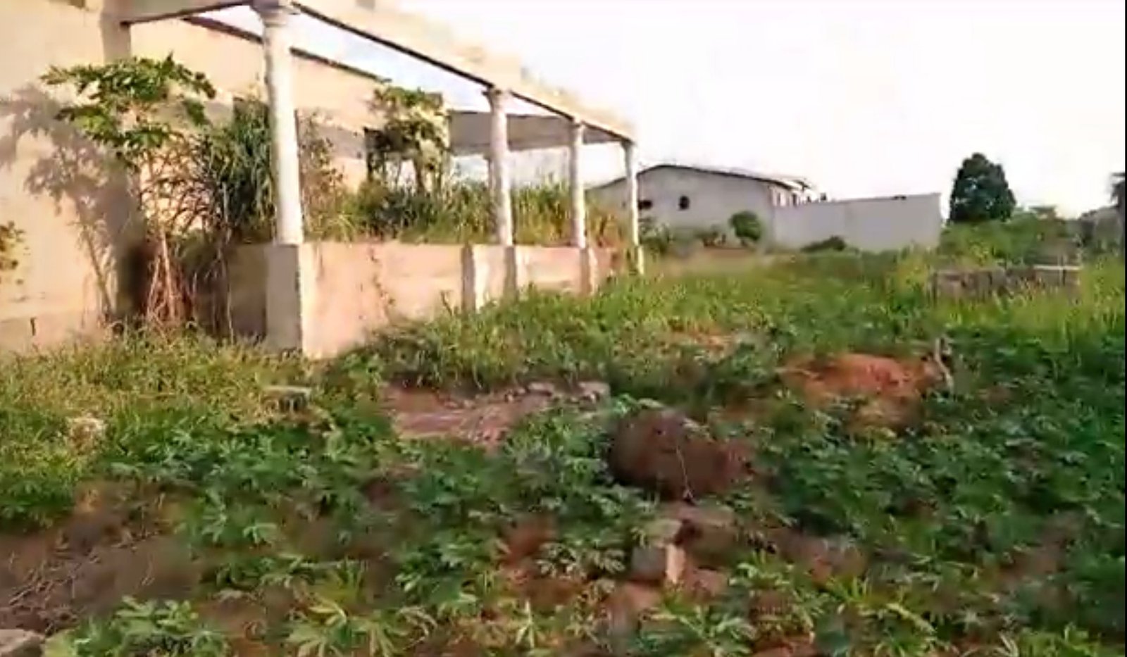 Maison Bonoua 1 drapeau