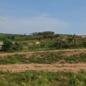 Terrain SONGON ADONKOI Y4