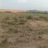 Lots COCODY Abobo Djibi Y4