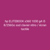 HP Elite book X360 1030