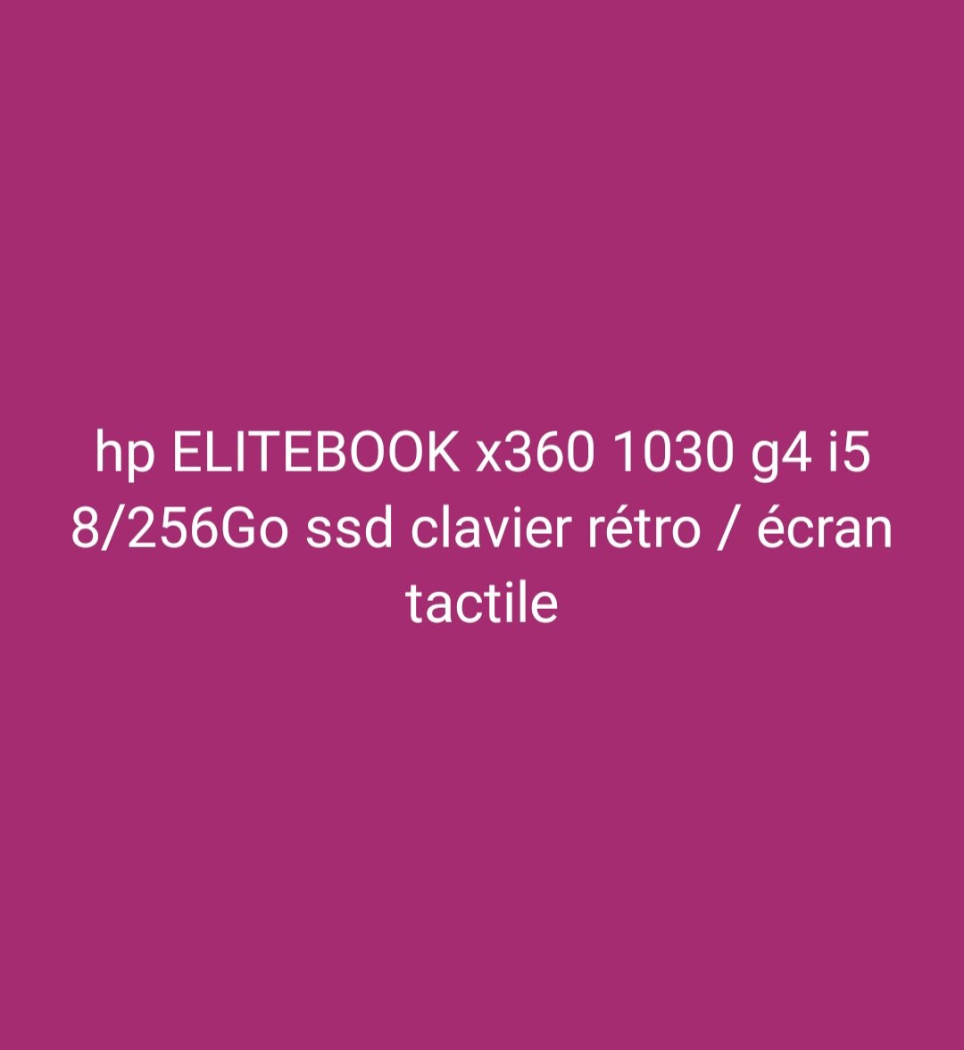 HP Elite book X360 1030