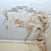 Mur fissuré ou humidité ?
