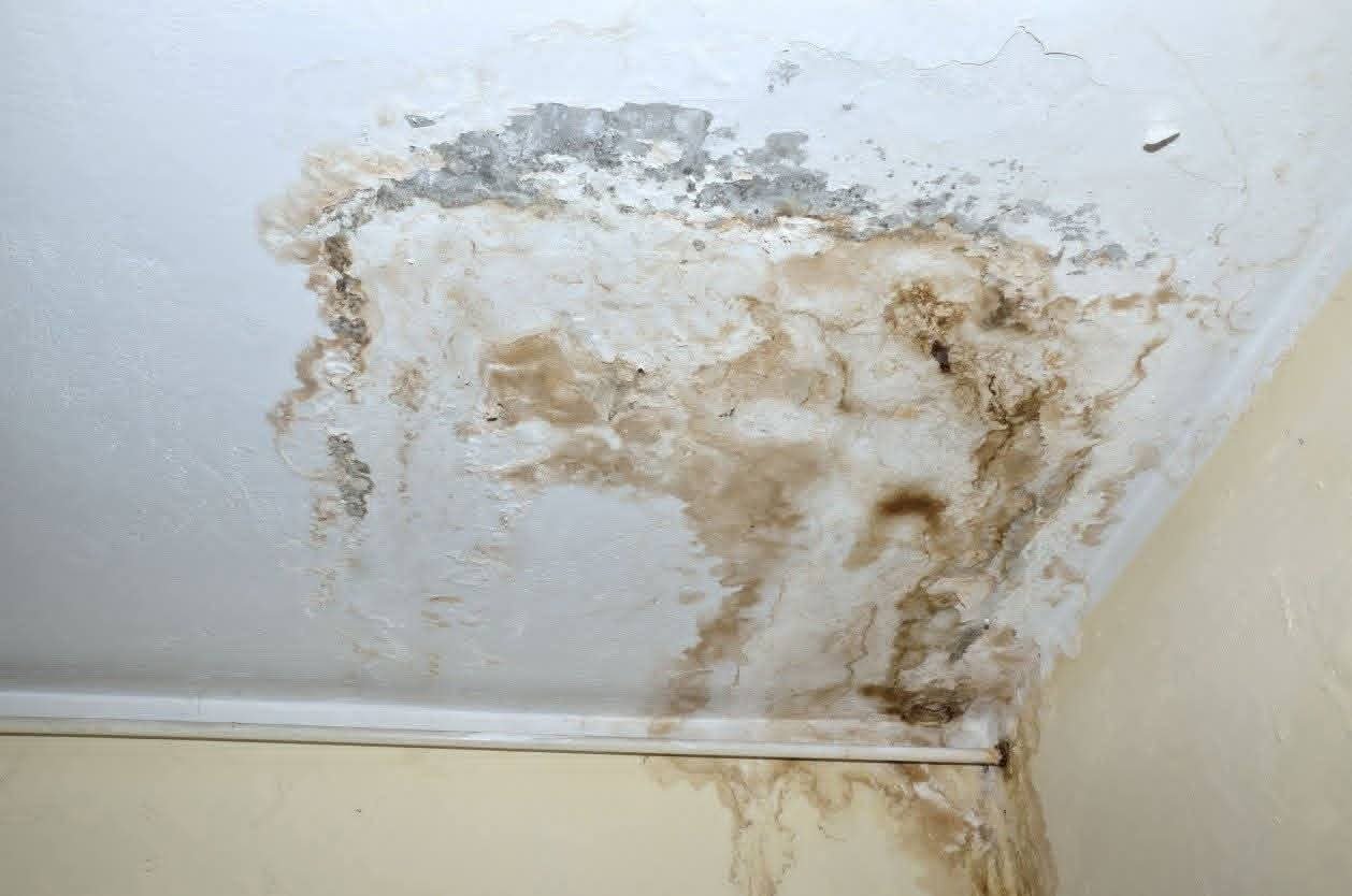Mur fissuré ou humidité ?