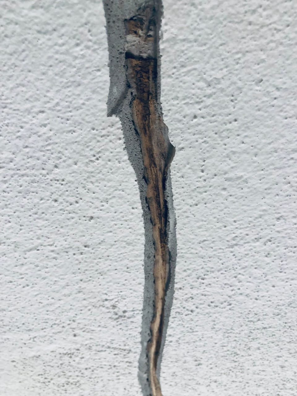 Mur fissuré ou humidité ?