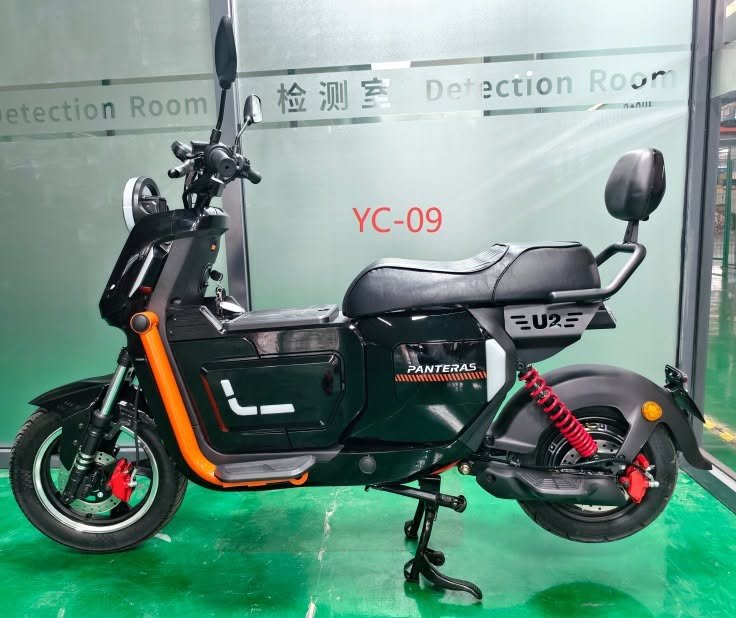 Scooter Électrique YC-09