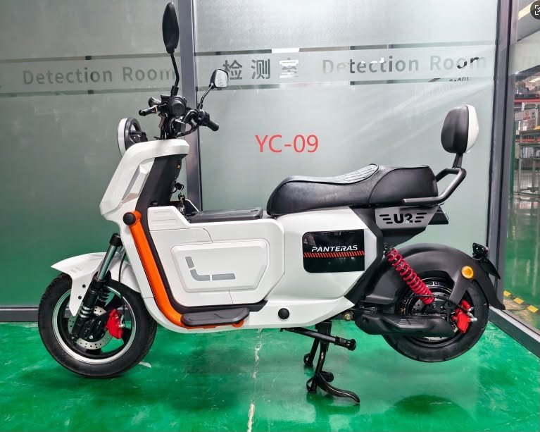 Scooter Électrique YC-09
