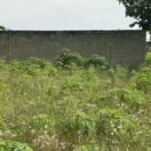 Terrain BINGERVILLE CITÉ ALLOBE 🔴