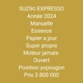 Taxi SUZUKI ESPRESSO 2024 à vendre