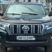 TOYOTA LAND CRUISER Moteur V6 en vente