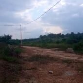 VENTE TERRAIN AGBOVILLE Amakébou