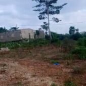 VENTE TERRAIN AGBOVILLE Amakébou