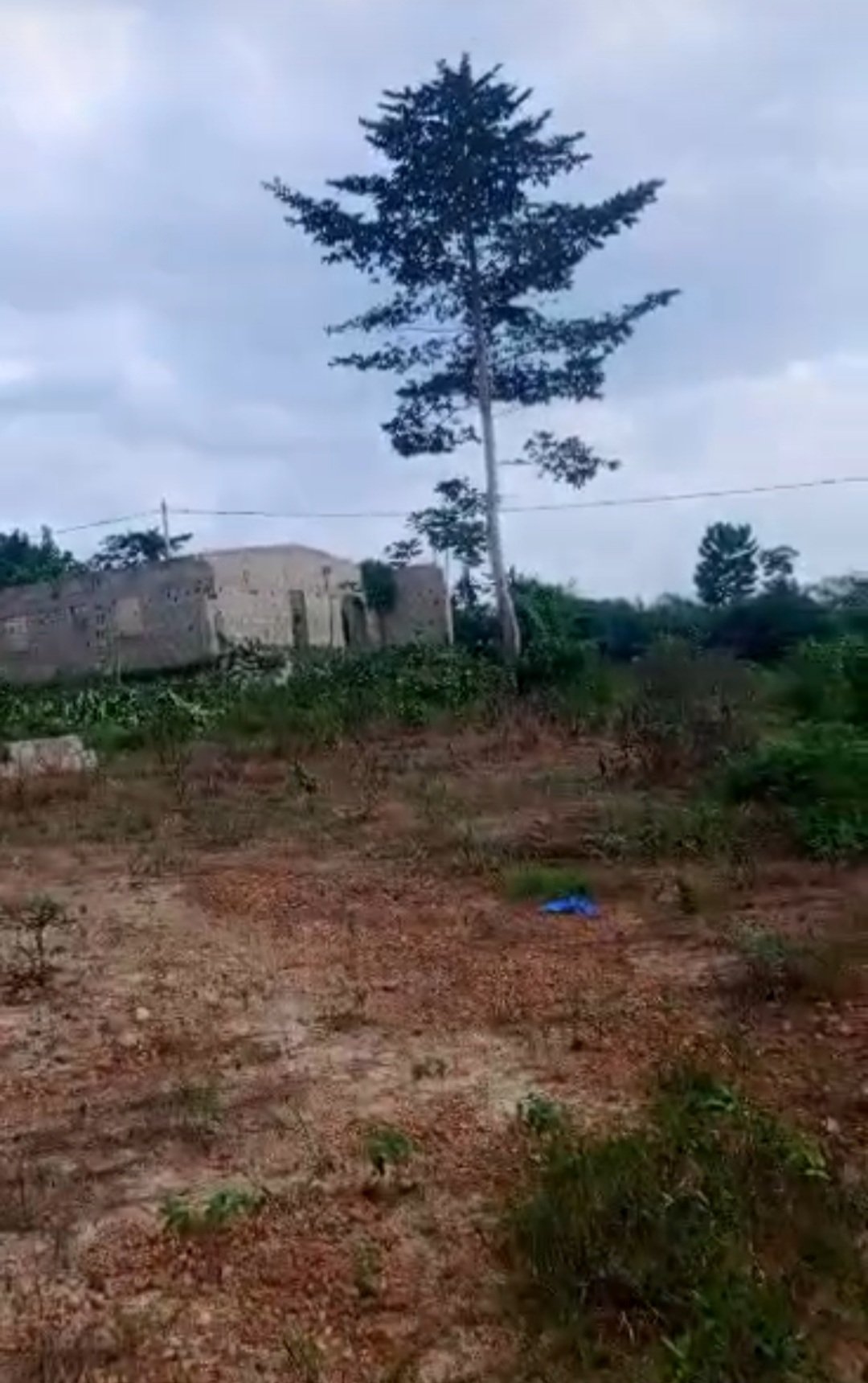 VENTE TERRAIN AGBOVILLE Amakébou