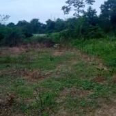 VENTE TERRAIN AGBOVILLE Amakébou