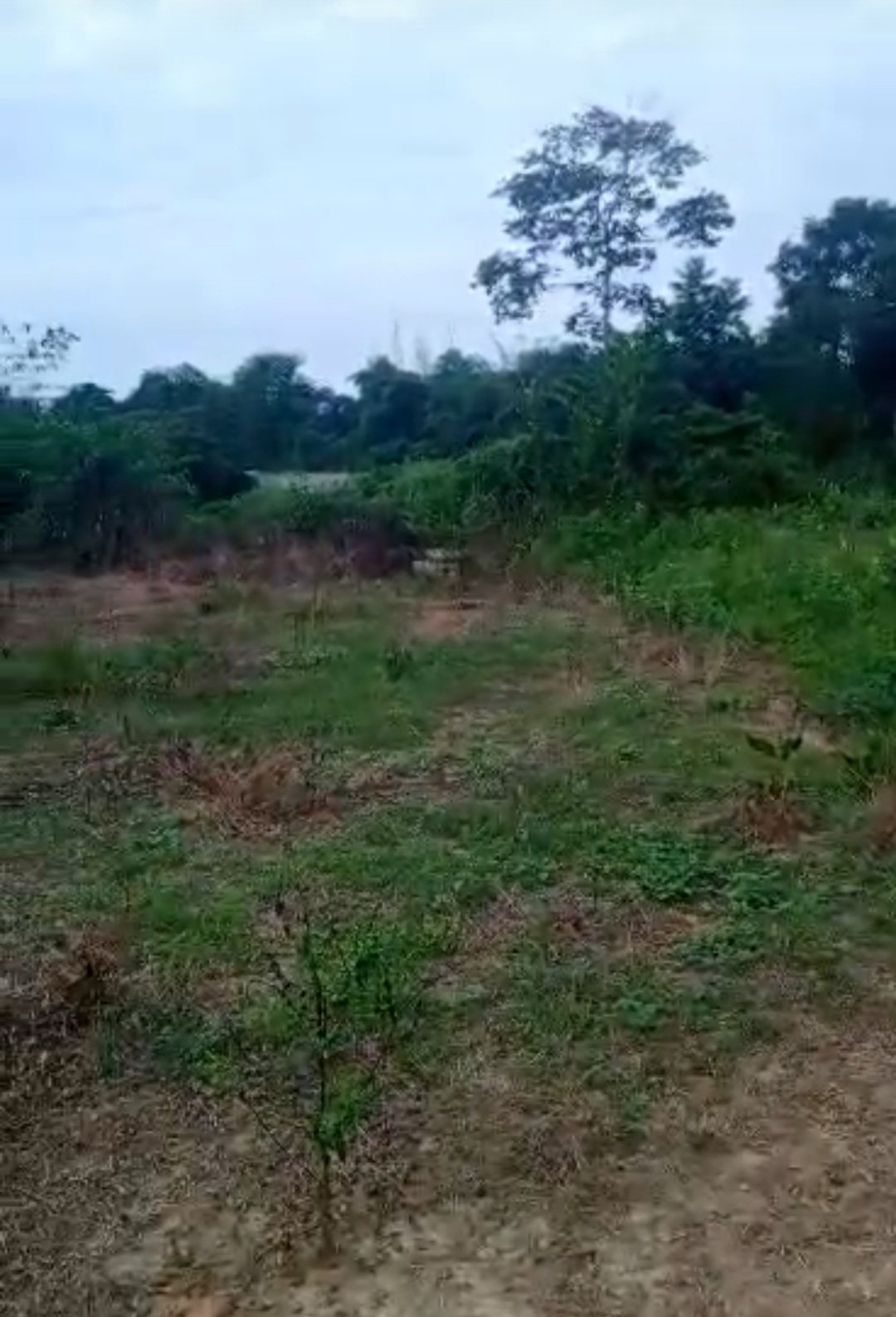 VENTE TERRAIN AGBOVILLE Amakébou