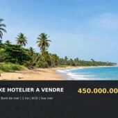 COMPLEXE HÔTELIER GRAND-LAHOU À VENDRE 🌊